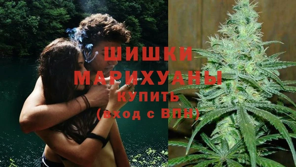 PSILOCYBIN Алзамай