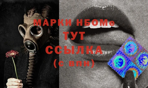 PSILOCYBIN Алзамай