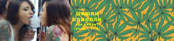 PSILOCYBIN Алзамай